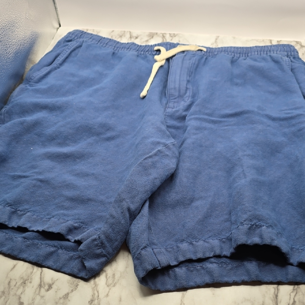 Tommy Bahama Light Blue Casual Shorts